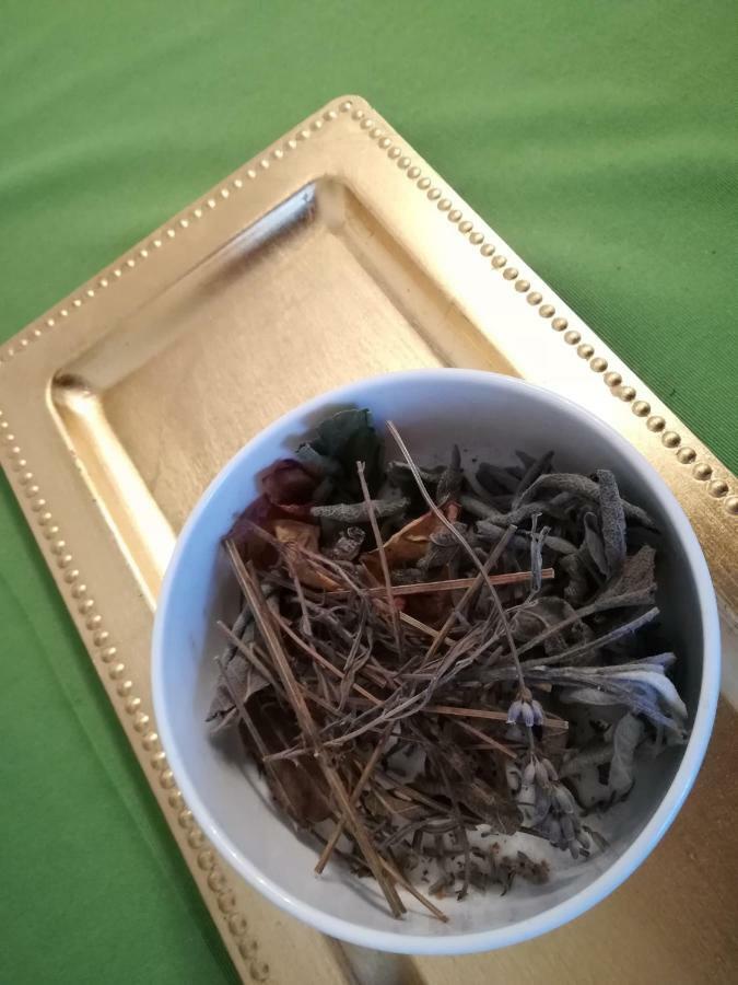 بيت الضيافة آنا غروسارل المظهر الخارجي الصورة